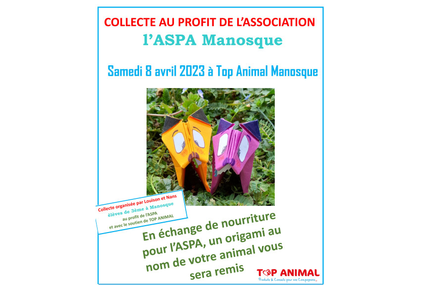 UN ORIGAMI POUR CHAQUE DON POUR L'ASPA : PROJET DE LOUISON ET NANS
